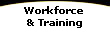 Workforce 
& Training